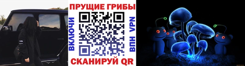 наркошоп  Мышкин  Галлюциногенные грибы ЛСД 